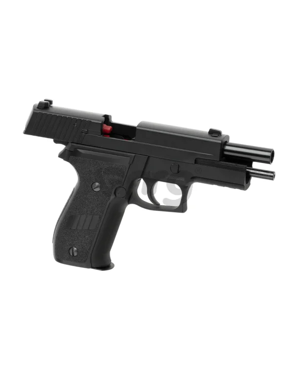 AW Custom P226R 3