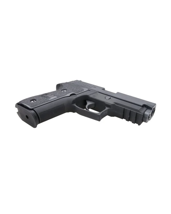 WE P229R 6